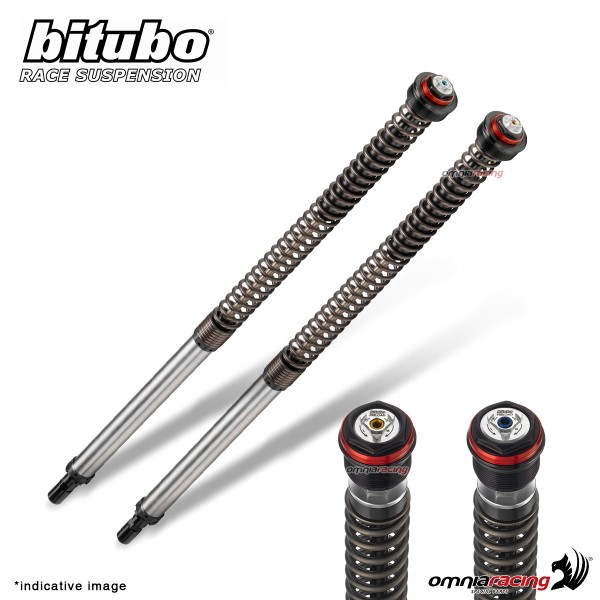 Adjustable JBHV2 Bitubo fork cartridge BMW F800GS 2013-2017