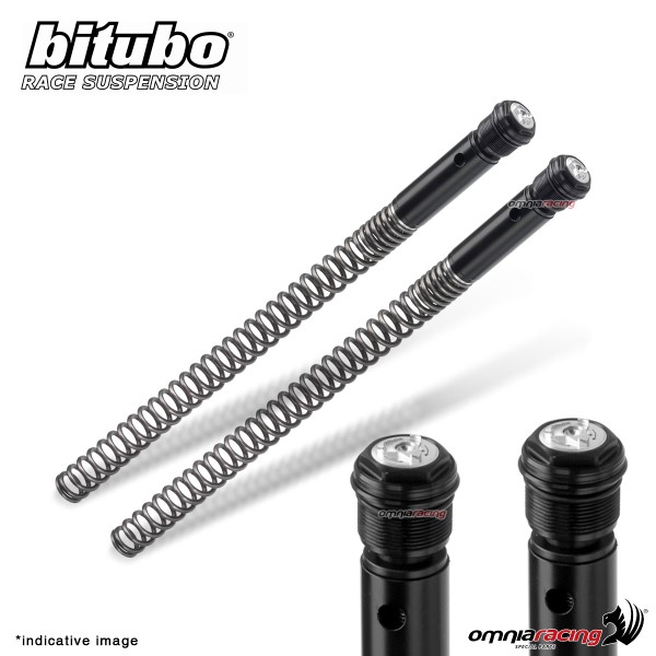 Bitubo KB1 springs and caps kit for fork cartridges Moto Guzzi V7 Racer II Abs 2015-2016