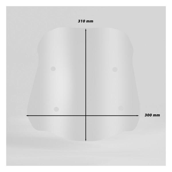 Isotta dark smoke windscreen BMW F900GS 2024