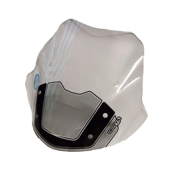 Cupolino Isotta fume chiaro BMW R1200R 2015-2018