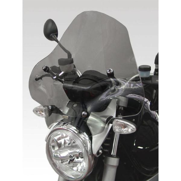 Cupolino Isotta fume chiaro BMW R1200R 2006-2010