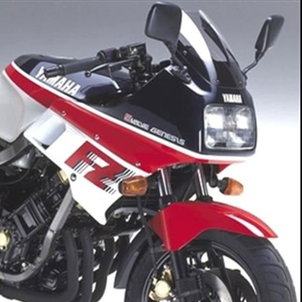 Cupolino PowerBronze Standard fume chiaro Yamaha FZ750 1987-1992