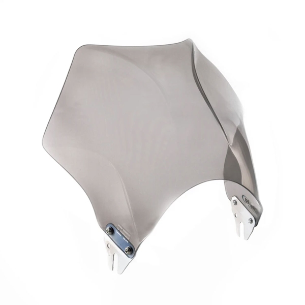 Cupolino Puig Raptor fume chiaro Daelim Roadwin 125 2006-2009