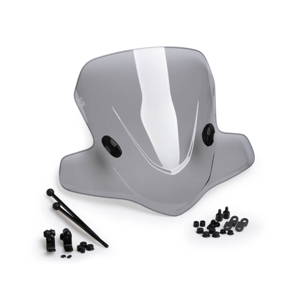 Cupolino Puig City Touring fume chiaro Honda Dylan 2002-2006