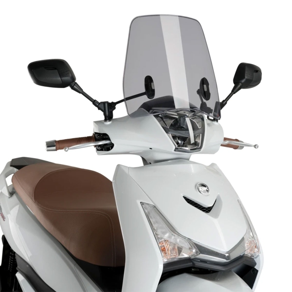 Cupolino Puig Urban fume chiaro Sym HD 300 2019-2025