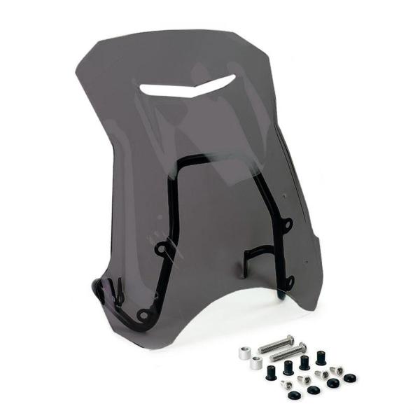 Unit Garage dark smoke screen with GPS support BMW RnineT Urban GS (with low exhaust)