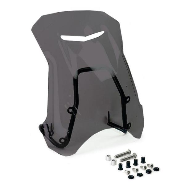 Unit Garage dark smoke high screen with GPS support BMW R12