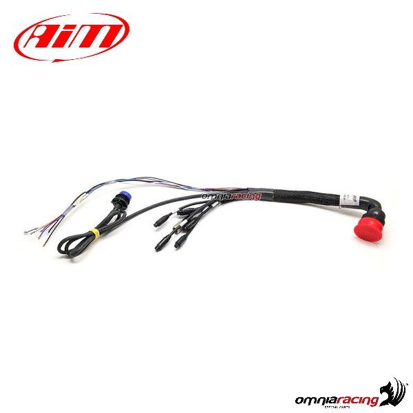 Cablaggio standard 37 pin AIM per modello MXL2 - MXS 1.2 - MXP - MXG 1.2