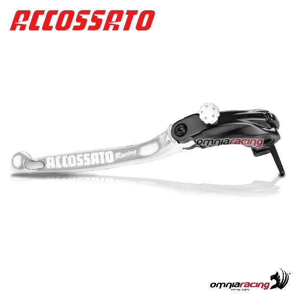 Folding lever RST Accossato for brake master cylinder Nissin silver Kawasaki Z1000 ABS 2007>2009