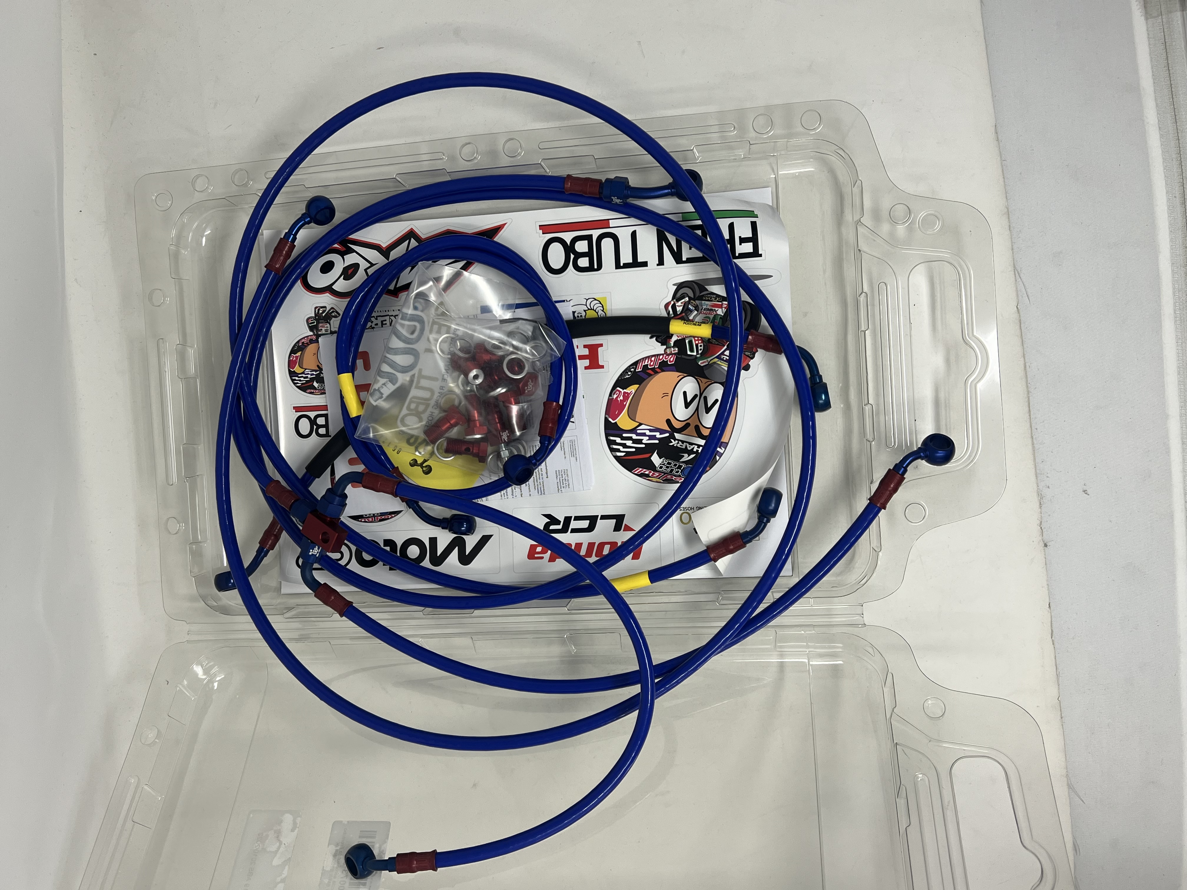 Brake Hose Kit Transparent Steel Fittings Triumph Daytona 955 I 1999-2003