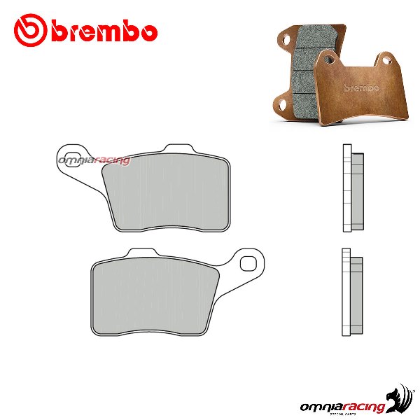 Brembo front brake pads Genuine sintered Bombardier-Can Am LYNX Adventure GT 1200 2010