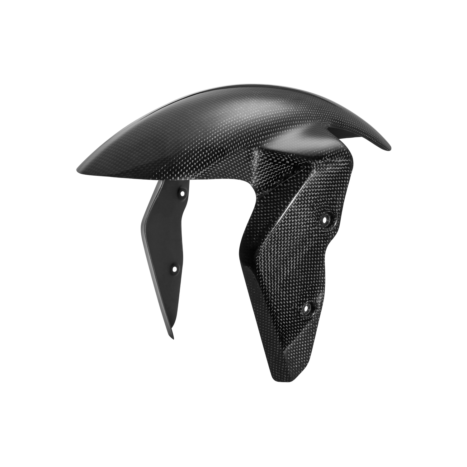 LighTech Carbon front fender BMW S1000RR 2009-2018