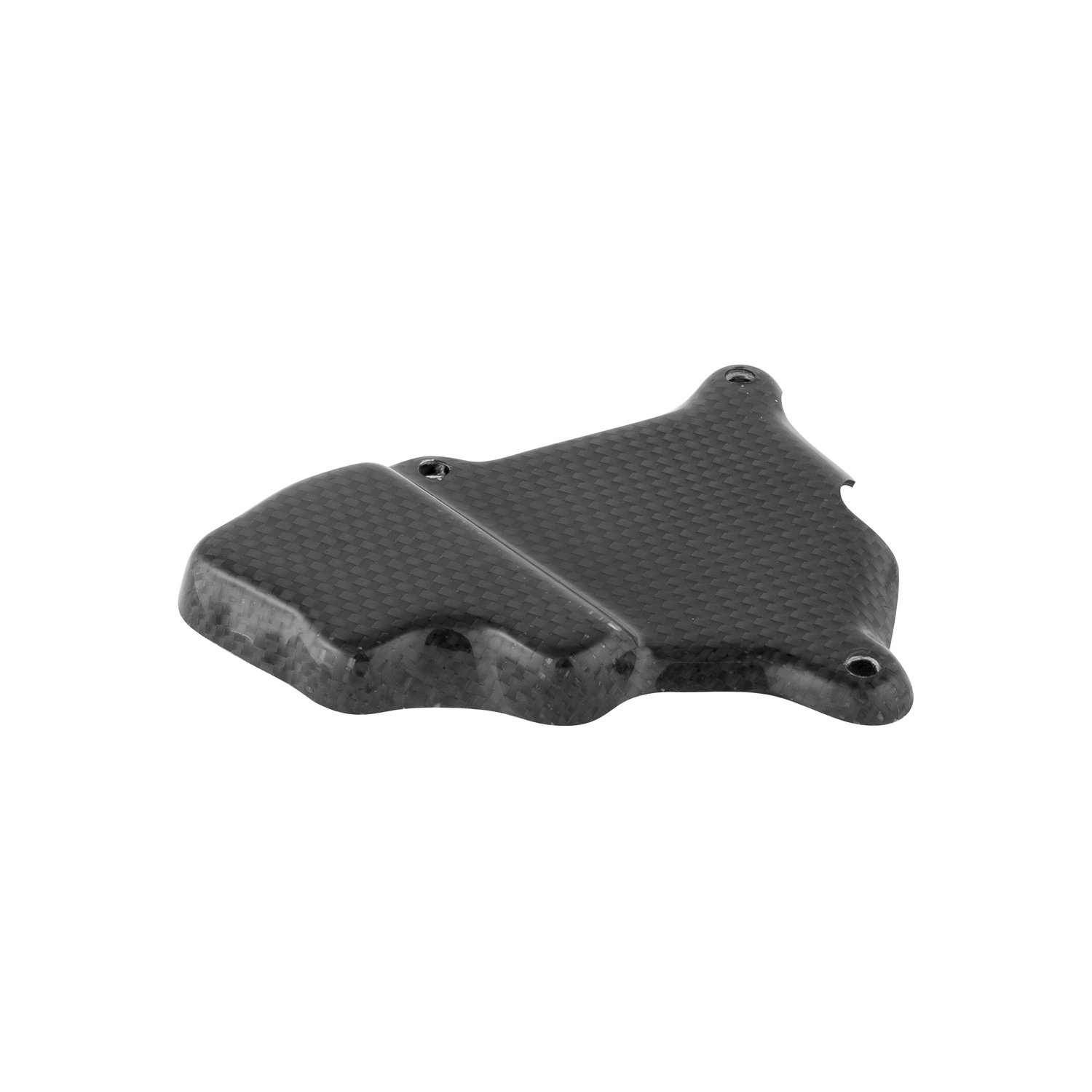 LighTech Carbon Pick Up Cover BMW S1000RR 2009-2016