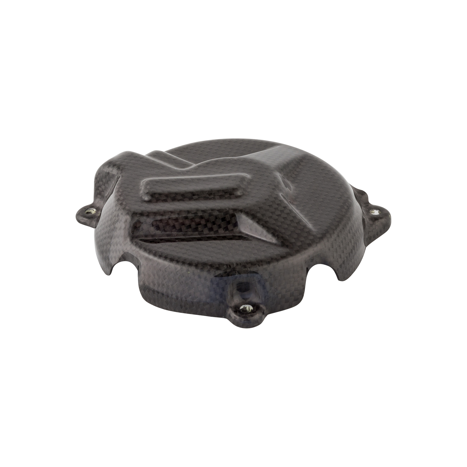 LighTech Carbon Alternator Cover BMW S1000RR 2009-2018