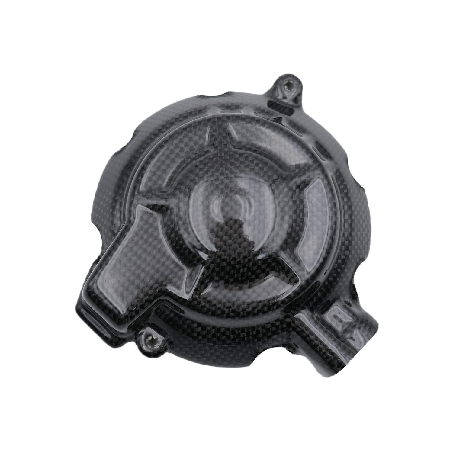 Coperchio Alternatore Carbonio LighTech BMW S1000R 2021-2024
