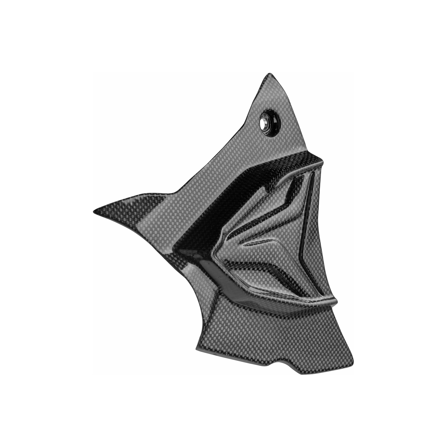 LighTech Carbon Sprocket Cover BMW S1000R 2021-2024