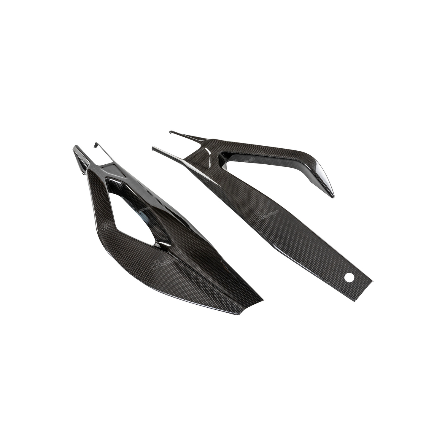 Protezioni Forcellone Carbonio LighTech BMW S1000R 2021-2024