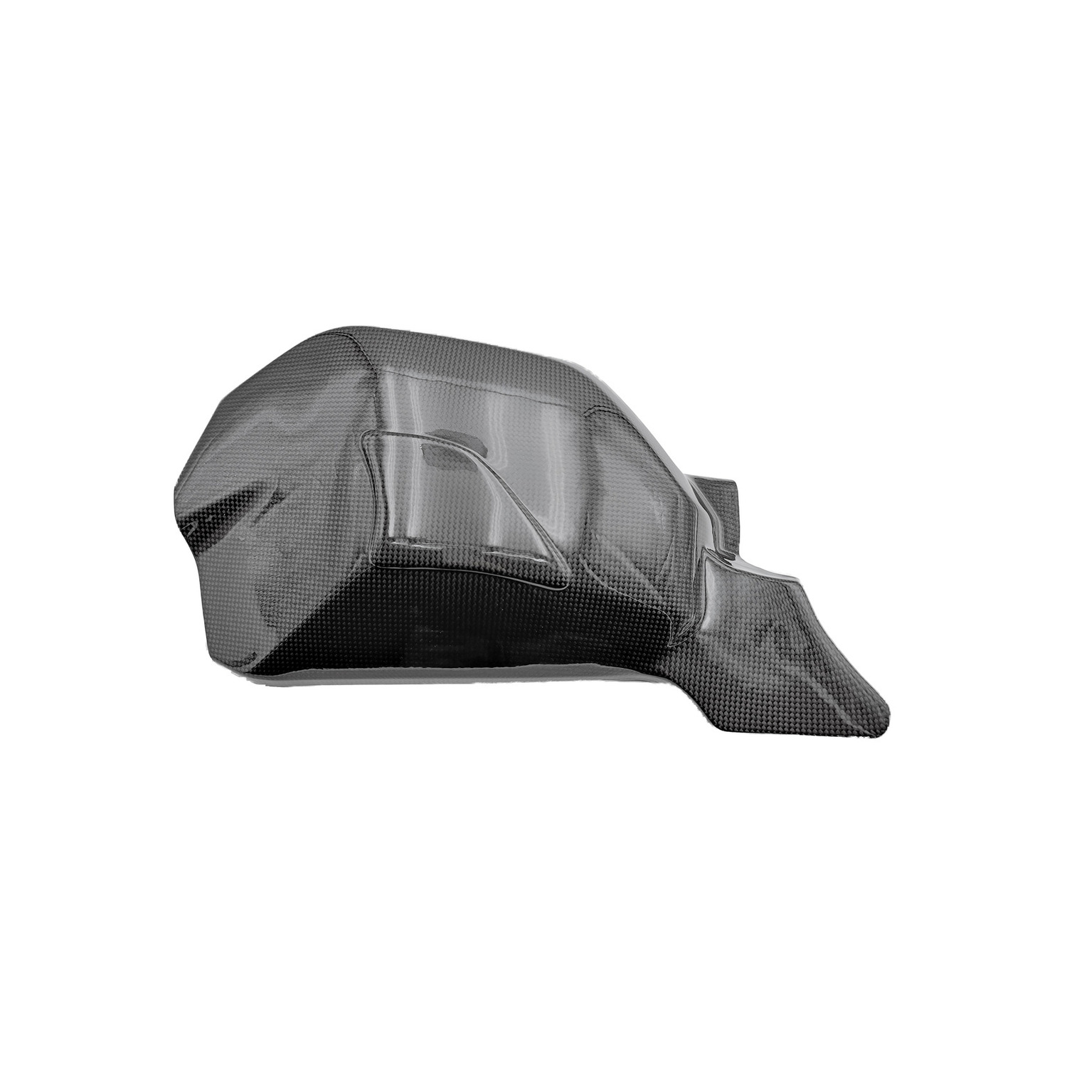 Protezioni Forcellone Carbonio LighTech Ducati Streetfighter V4 2020-2024