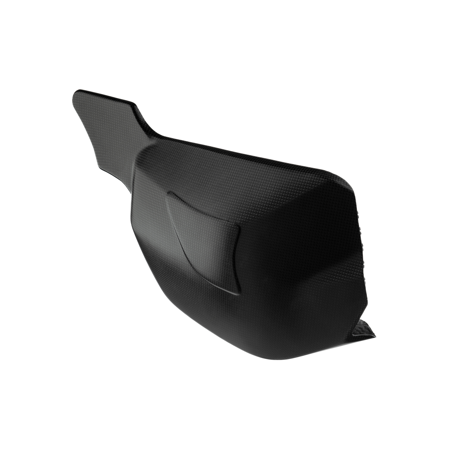 LighTech Swingarm Protectors Matt Carbon Ducati Streetfighter V4 2020-2024