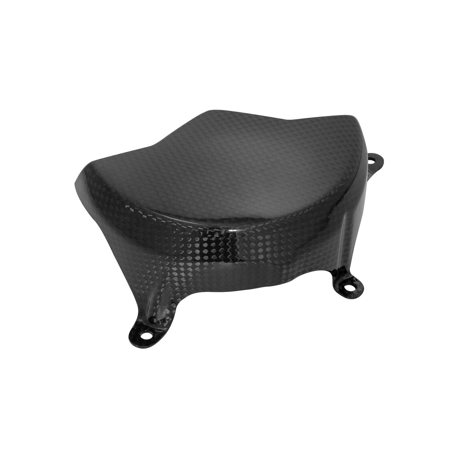 LighTech Carbon Alternator Cover Ducati Panigale V4S 2018-2024