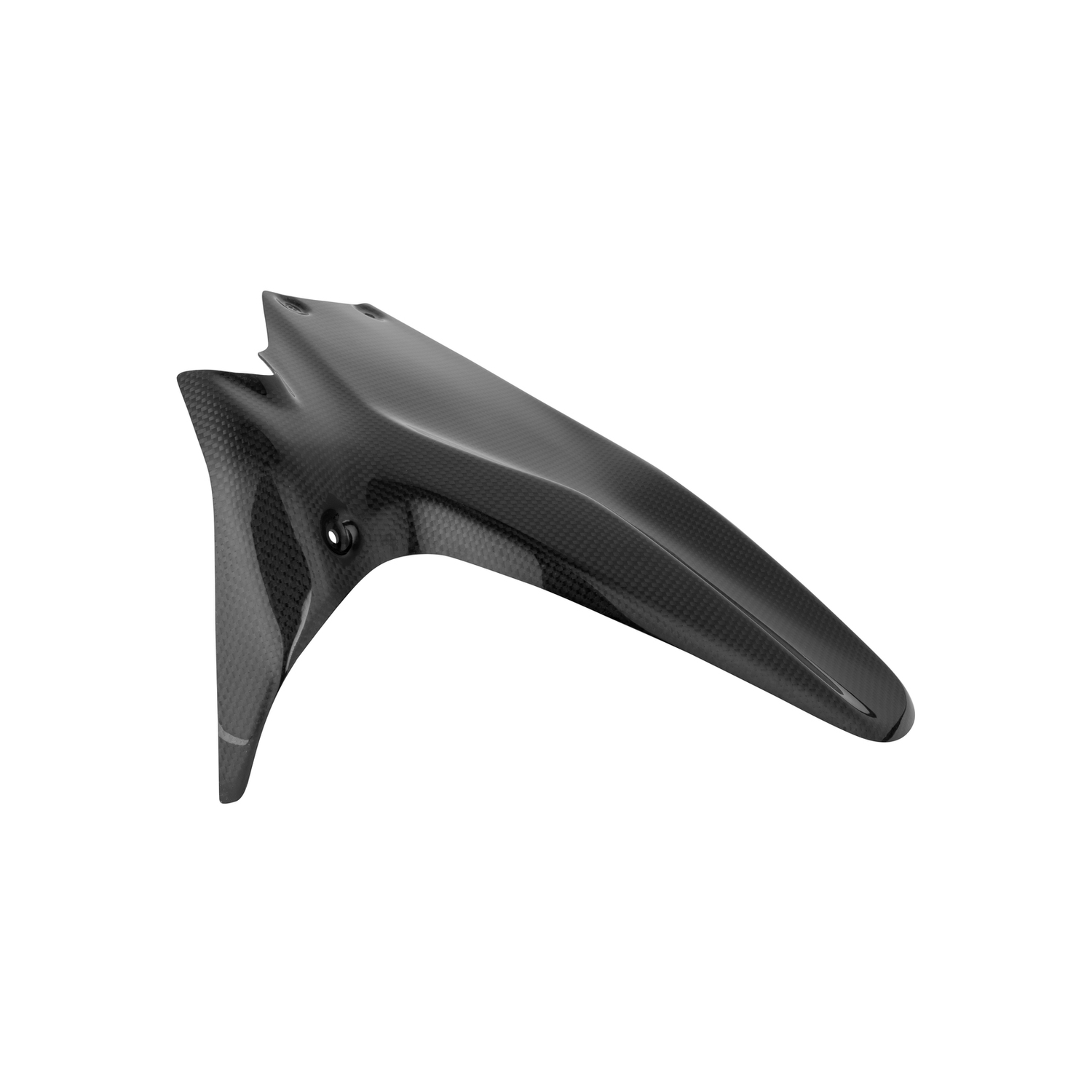 LighTech Carbon rear fender Ducati Panigale 1199 2012-2017