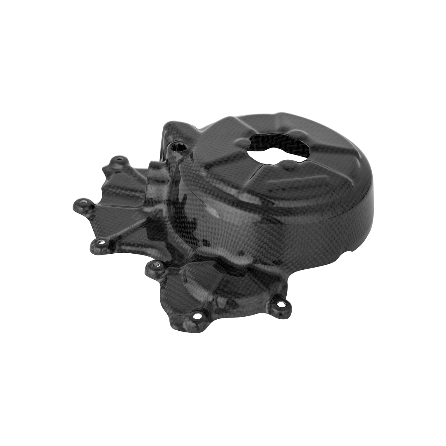 LighTech Carbon Alternator Cover Ducati Panigale 899 2013-2015
