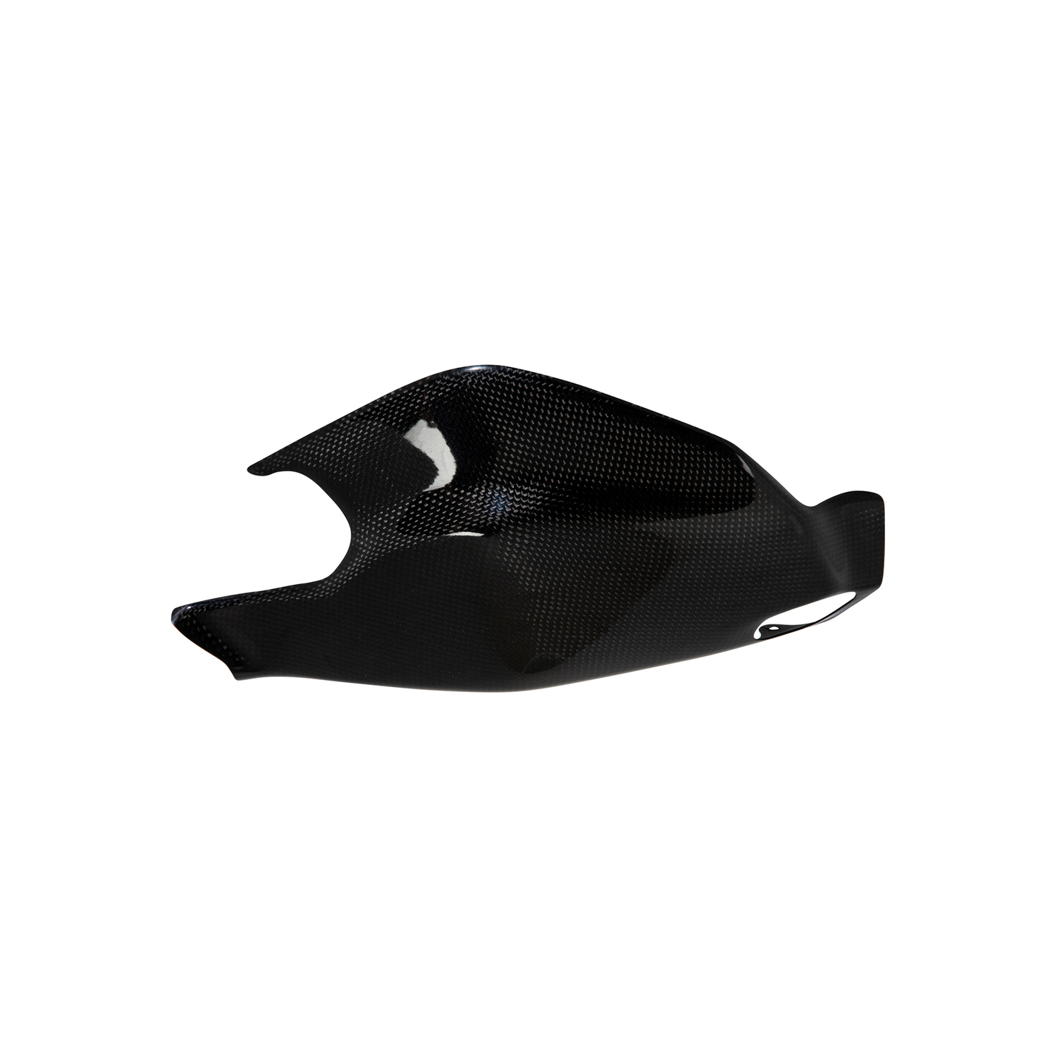 Protezione Forcellone Carbonio LighTech Ducati Panigale 1199 2012-2017