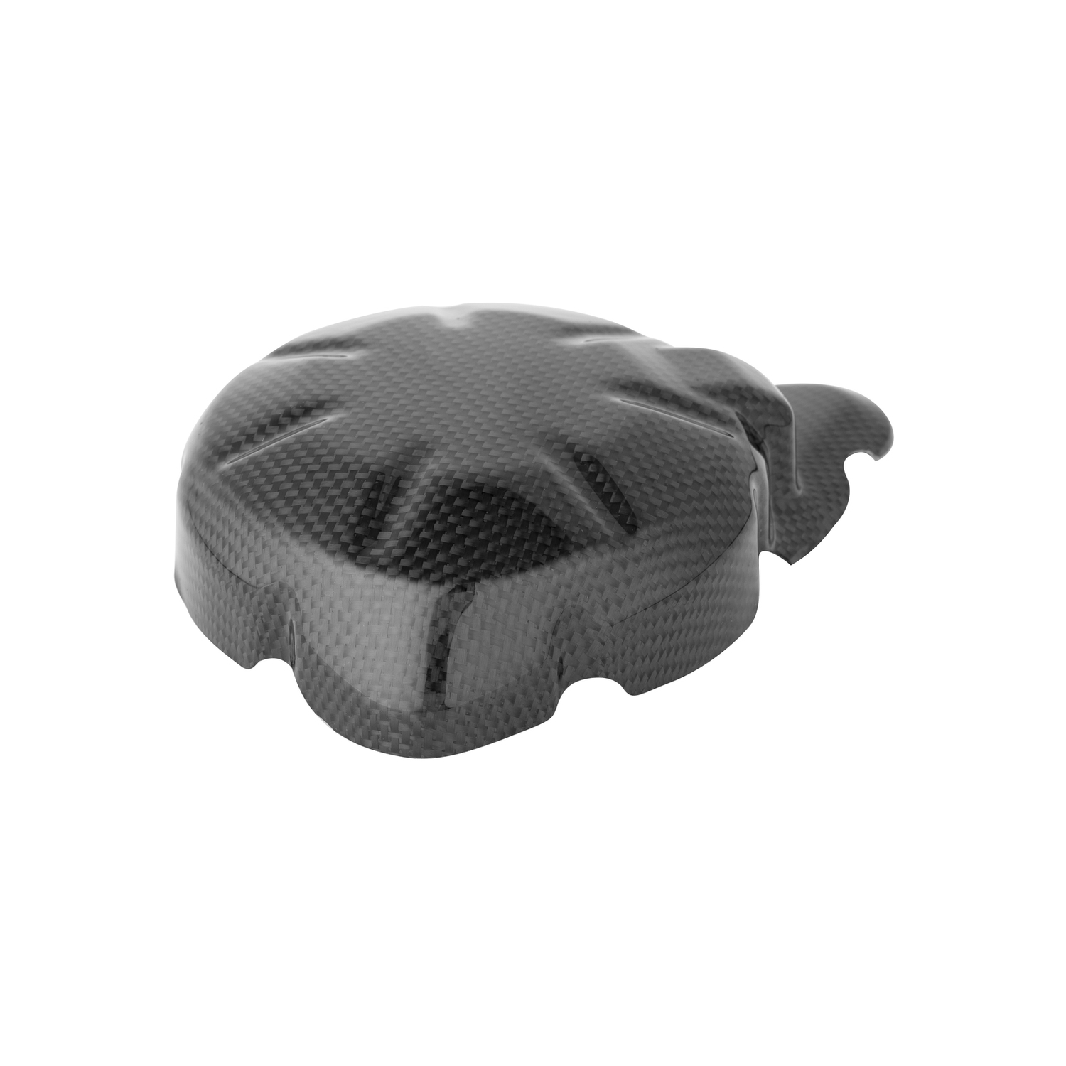 LighTech Carbon Alternator Cover Kawasaki Z900SE 2026