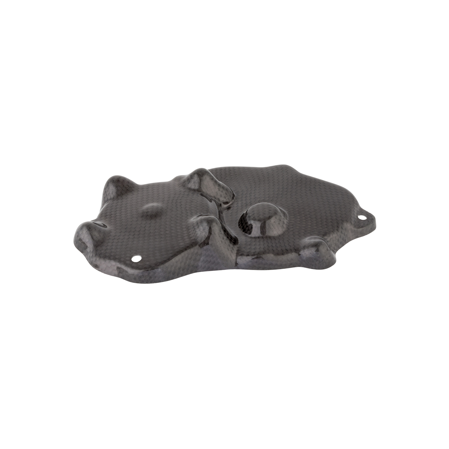 LighTech Carbon Pick Up Cover Kawasaki Ninja ZX6R 2009-2026