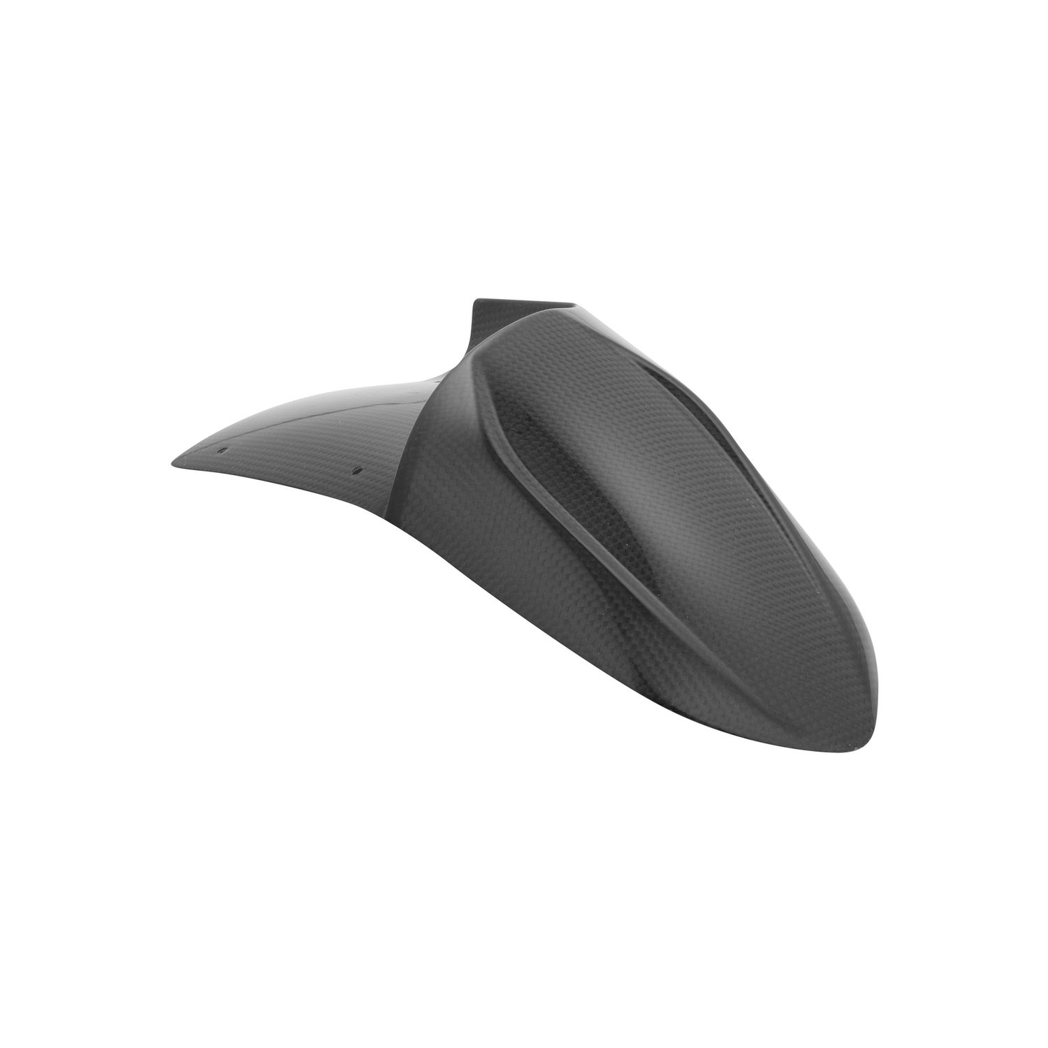 LighTech Rear fender carbon MvAgusta F3 800 2012-2016