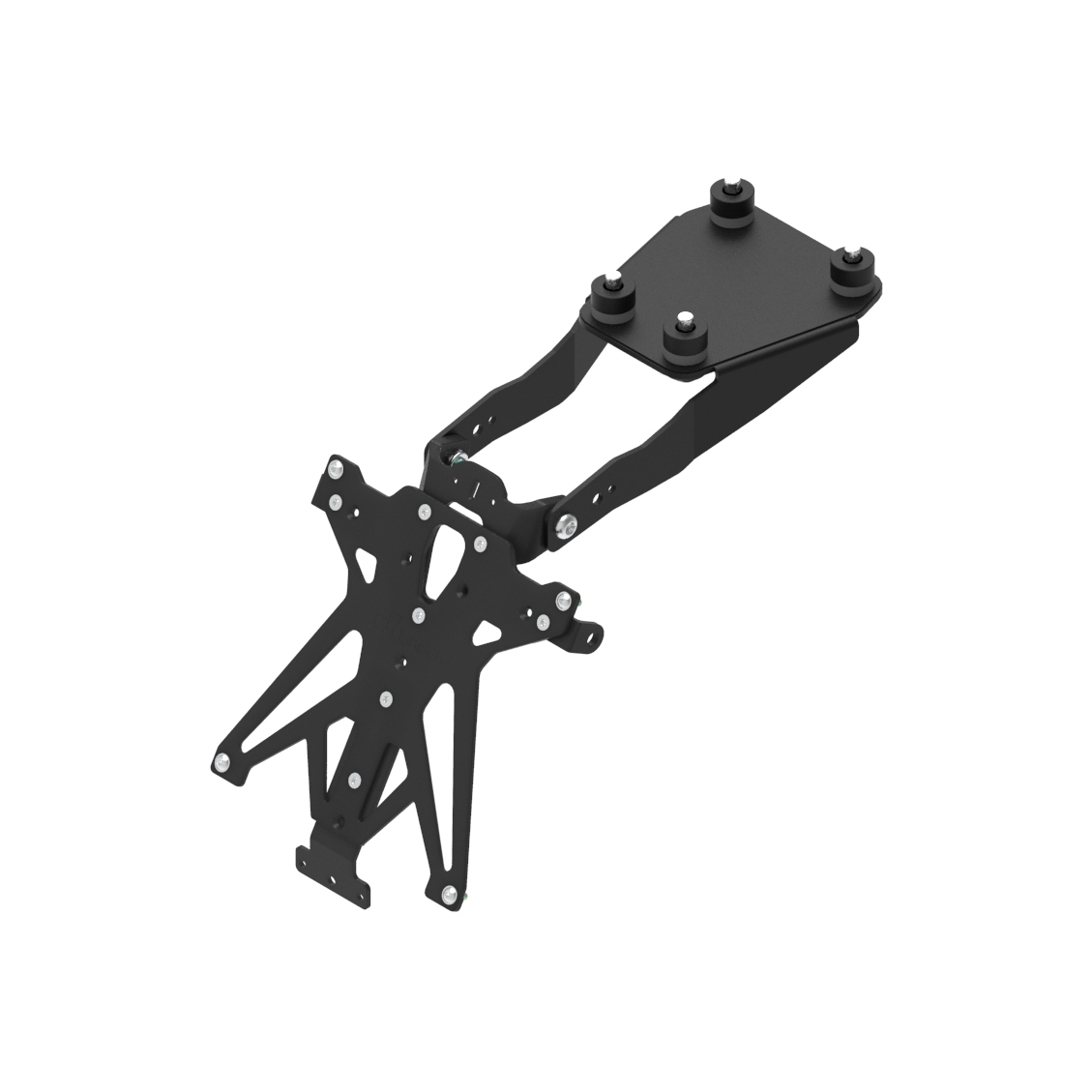 Piatto Portatarga LighTech con supporti Francia Ducati Monster 1200 2017-2021