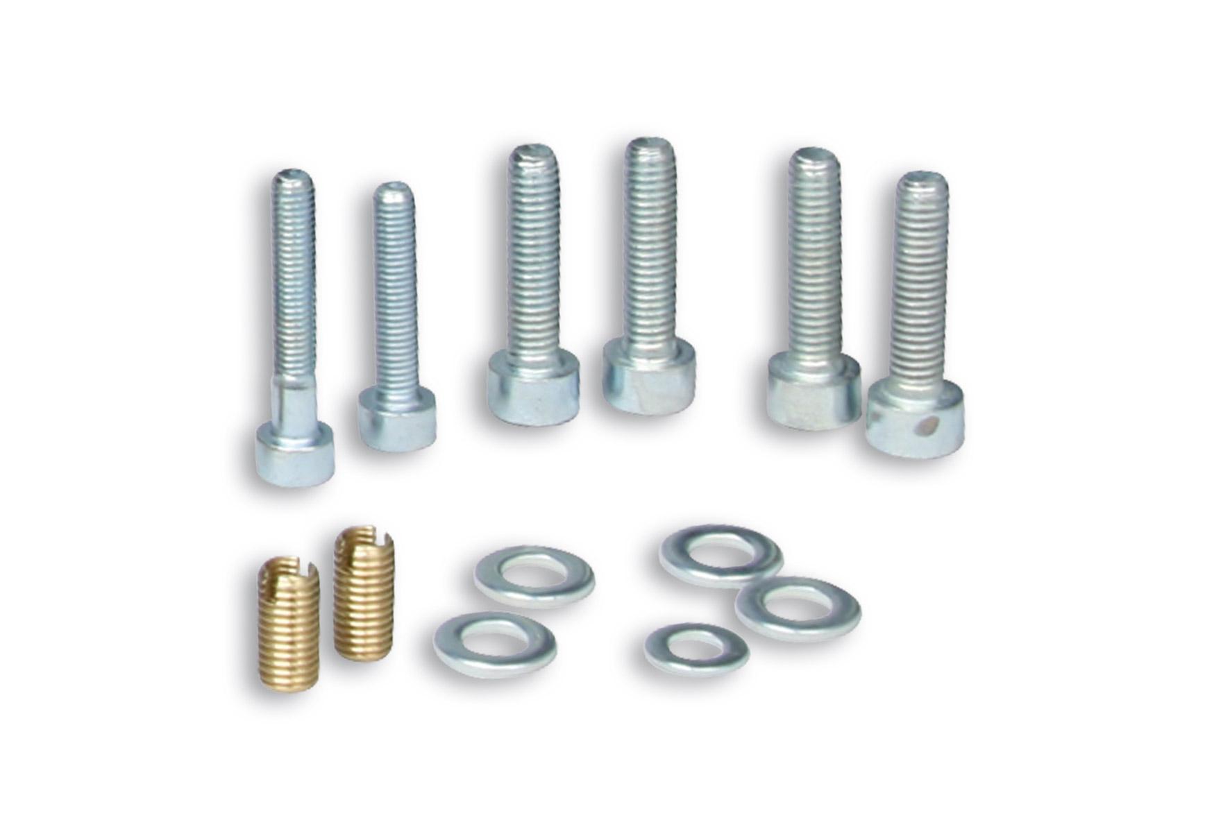 Malossi Screw kit for Vespa reed valve system