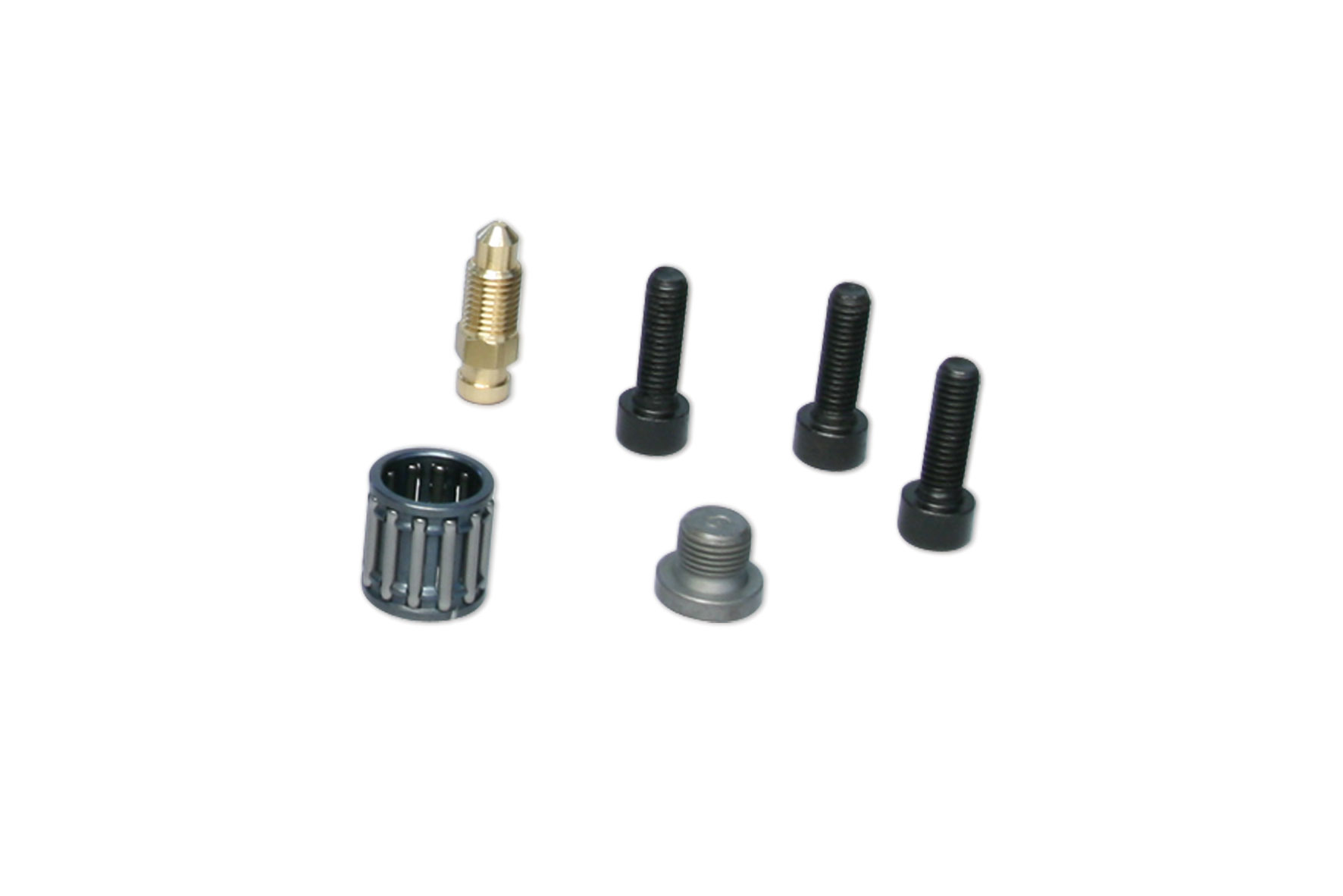 Malossi Bleed holder, plug, roller bearing kit