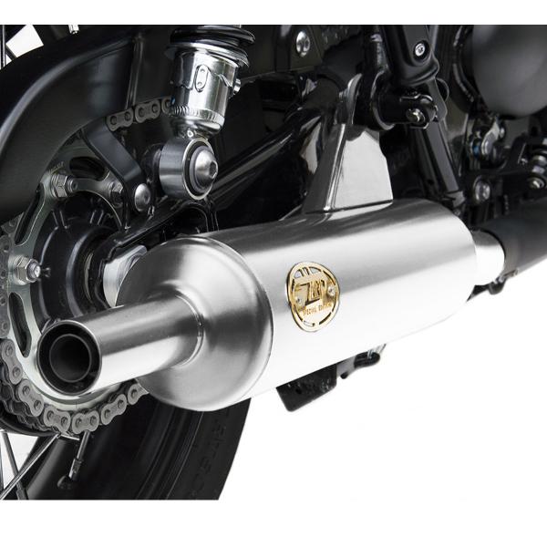 Scarichi ZARD BOTTLE Acciaio lucido omologato Triumph Bonneville T120 2016-2020