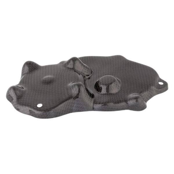 Lightech carbon Pick Up cover Kawasaki ZX636 2009-2021