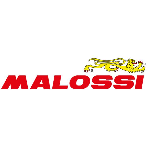 Malossi 3 prings for engine valves