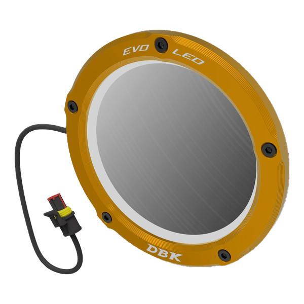 DBK Gold EVO LED clear clutch cover conversion kit BMW M1000R 2023-2025