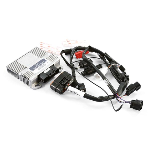 Polini centralina ecu Vespa 125 euro 5