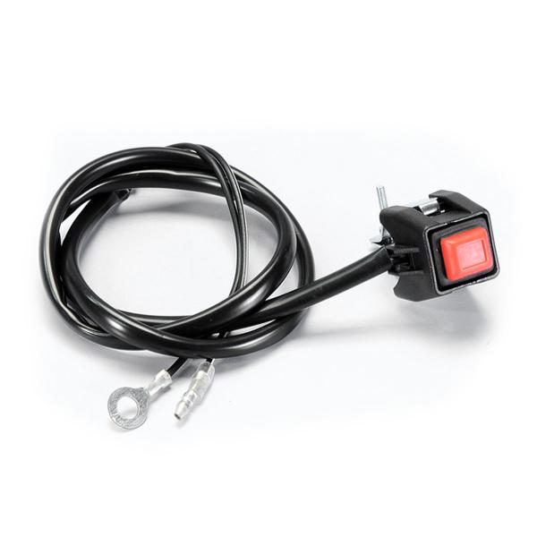 Polini interruttore di massa