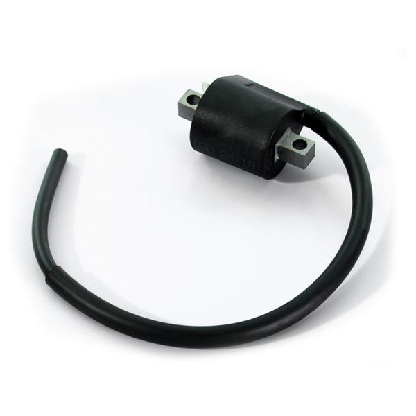 Polini bobina per accensione digitale