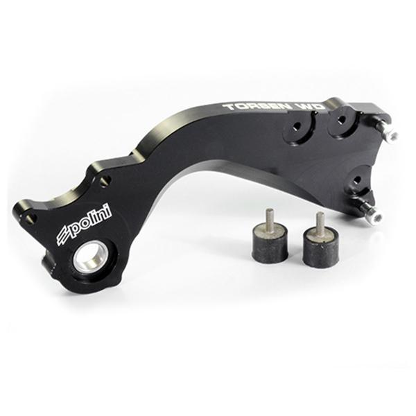 Polini swing arm torsen wd polini engine piaggio