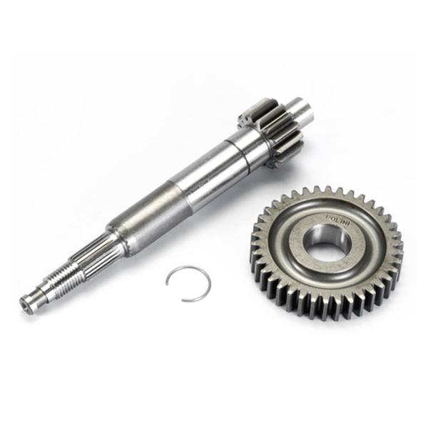 Polini primary gear piaggio zipsp m.2000