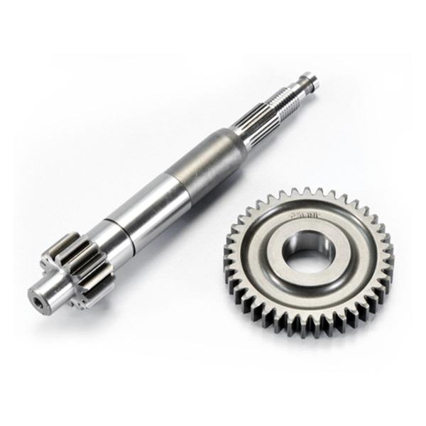 Polini ingranaggio primario Piaggio zip sp mod.2000 z=14-39