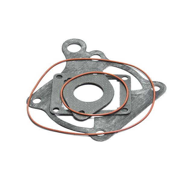 Polini gasket set cagiva aletta oro