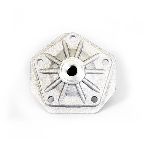 Polini testa motore rotax 123 (Aprilia 125 sintesi)