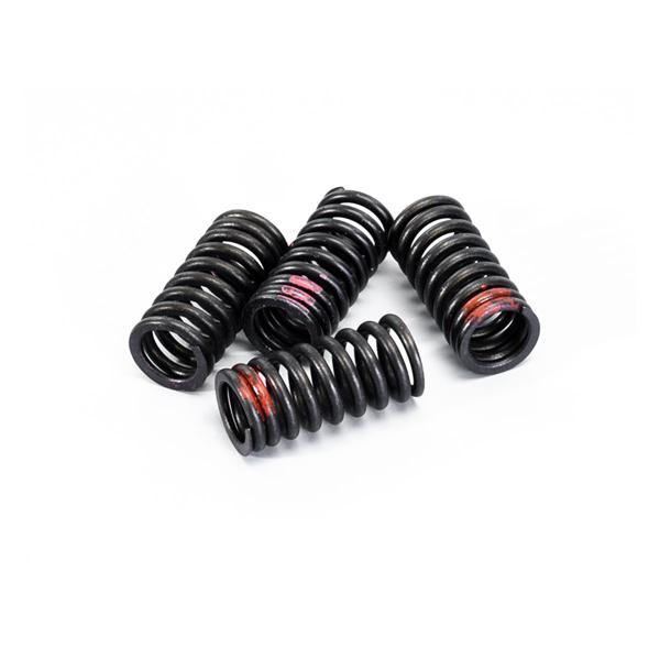 Polini valve spring xp4 for 4 valve head
