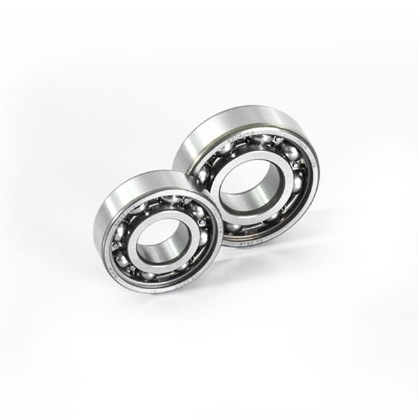 Polini engine crankcase bearings