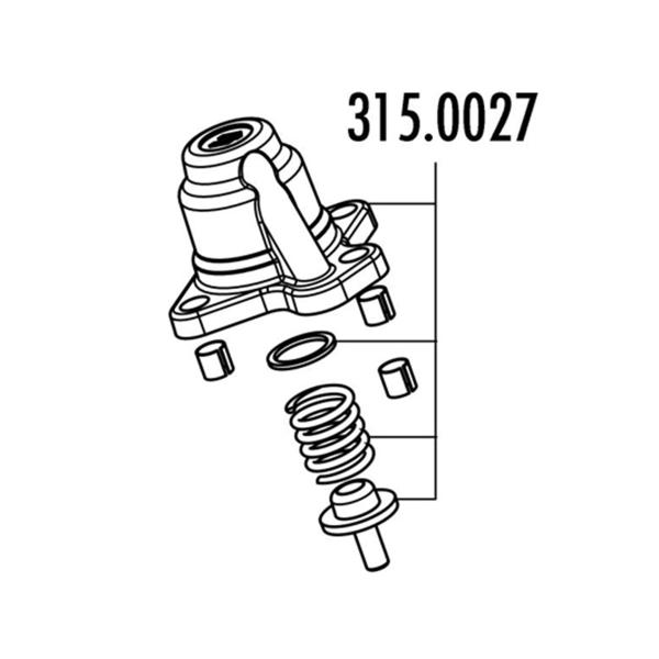 Polini regulation cover for head