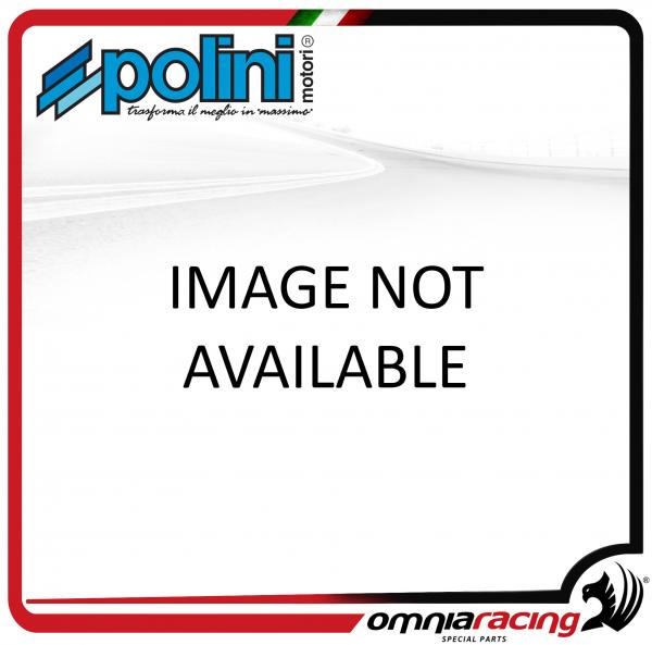 Polini ricambi segmento D.45,8X1,5 per Yamaha DT50 / Chappy 50