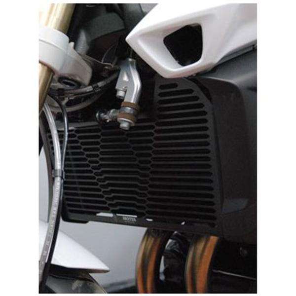 Isotta aluminum radiator grate protection BMW F800R 2015-2019